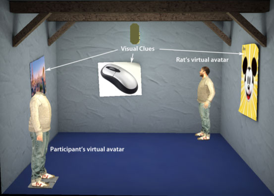 Аватары человека и крысы взаимодействуют в виртуальной среде