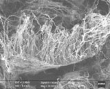 Алмазы и нанотрубки нашли точки соприкосновения в графене