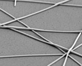 Гибкие дисплеи будут производить на основе нанопроводов серебра