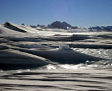 Антарктическая среда явила еще один сюрприз
