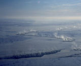 Трещины в океанском льду грозят отравлением экосистемы