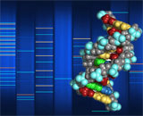 Компьютеры на основе ДНК будут отличаться способностью к масштабному перебору
