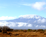 Снега Килиманджаро растают за 20 лет