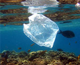 На дне морском – залежи мусора