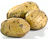 Трансгенный белорусский картофель на рынке пока не найти