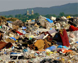 Предложена альтернативная технология утилизации мусора