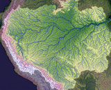 Установлено, как на самом деле формировалась Амазонка