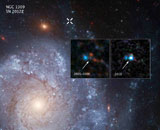 Астрофизики выявили нового кандидата в сверхновые светила типа Iax