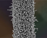 Создан очень гибкий и эластичный материал из нанотрубок