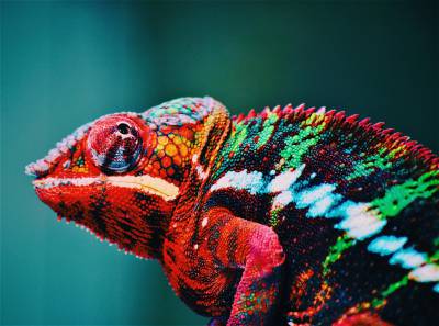 Создан нанолазер, который меняет цвет как хамелеон