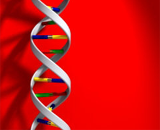 Ученые пытаются распутать ДНК