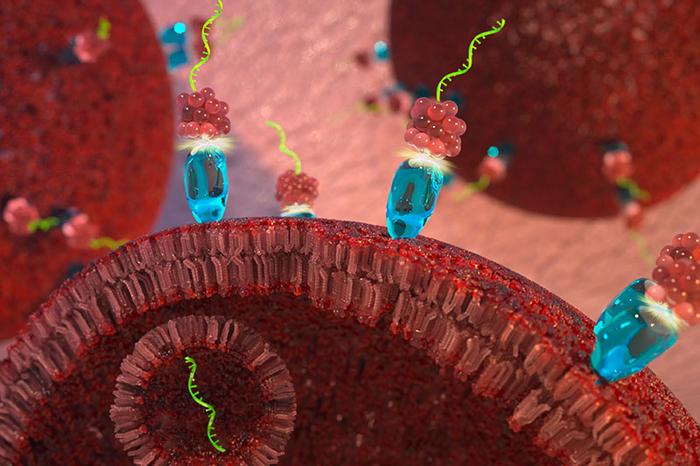 Oncogene: Ученые создали стабильную версию микроРНК-34а для борьбы с раком