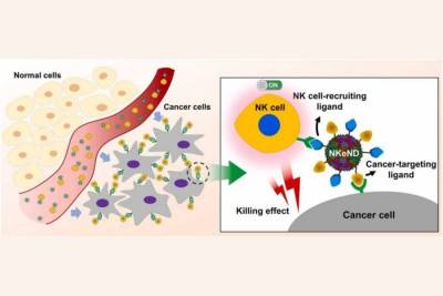 Nano Today: Революционные нанодроны делают возможным таргетное лечение рака