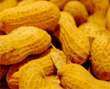 Аллергия на арахис встречается реже, чем считалось ранее