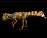 В Южной Корее обнаружены останки первого рогатого динозавра