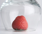 Создана съедобная наноупаковка для овощей и фруктов