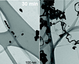 Золотые нанотрубки помогут с газами