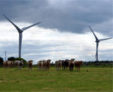 Правительство заинтересовано в сокращении затрат на ветряные турбины