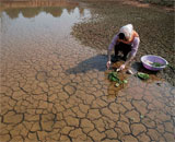 Дожди вредят сельскому хозяйству Китая больше глобального потепления?