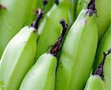 Макароны из зеленой банановой муки - вкусная альтернатива для сидящих на безглютеновой диете