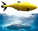 Разработчики из Homeland Security создали робота-тунца