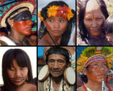 Война между племенами Амазонки проливает свет на современное насилие