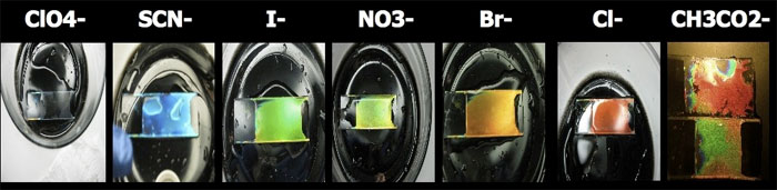 Исследователи превратили прозрачную пленку в синюю (тиоцианат), зеленую (йод), желтую (нитрат), оранжевую (бром) и красную (хлор).
