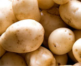 Картофель - наиболее ценный питательный продукт