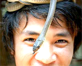 В Китае обнаружена змея с одной конечностью