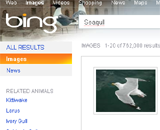 Визуальный поиск Bing забьет баки Google?