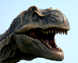 Тираннозавр Рекс вымер из-за ангины?