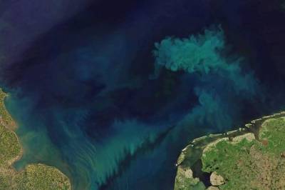 Уже не тот: в ответ на изменение климата океан меняет цвет