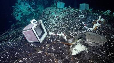 На дне Тихого океана ученые нашли неизвестную экосистему