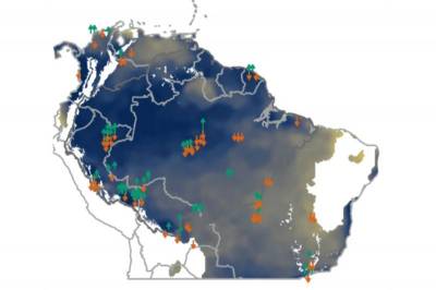 Тропические леса Южной Америки теряют способность поглощать углерод из атмосферы