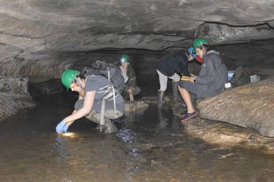 Микропластик нашли в закрытой для посещения системе пещер штата Миссури