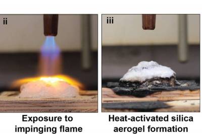 Advanced Materials: Созданы гели, которые защитят дома во время лесных пожаров