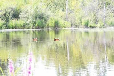 NW: Если учесть, откуда берутся дожди, риск глобальной нехватки воды возрастает