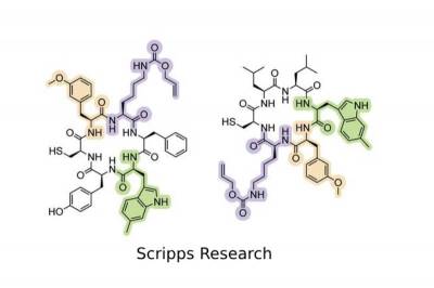 Nature Biotechnology: Генетический алфавит расширили для создания новых белков