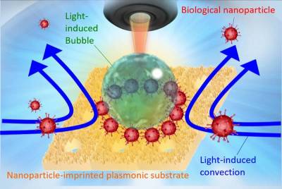 Biosensing: Спайковые белки коронавируса можно обнаружить за 5 минут