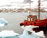 Льды Гренландии явили миру забытую жизнь